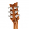 Harley Benton Agufish STD Signature BK