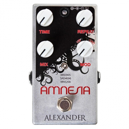 Alexander Amnesia Delay