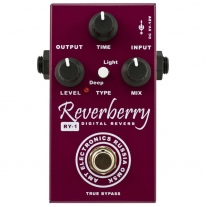 AMT Electronics RY-1 Reverberry Reverb