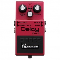 Boss DM-2W Delay