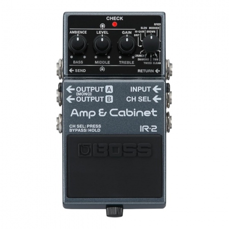 Boss IR-2 Amp & Cabinet