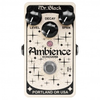Mr. Black Ambience Echoverb