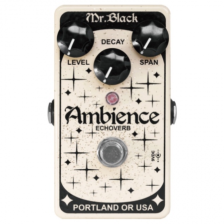 Mr. Black Ambience Echoverb