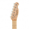 Harley Benton TE-20MN BM Standard Series