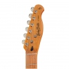 Harley Benton TE-62CC IS